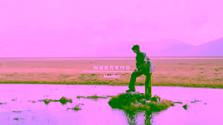 WEEKEND MaxMara Weekender at Heart FW24 Adv Campaign Ad Commercial Brand Imagery Photoshoot 0