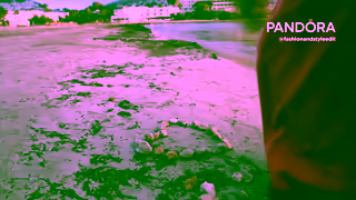 Pandora The Collective Summer Edit Ad Commercial Brand Imagery Photoshoot 1