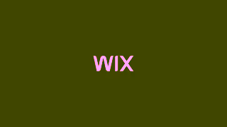 WIX Do it Yourself PIZZA Current Ho 15 sec Ad Commercial Brand Imagery Photoshoot 2