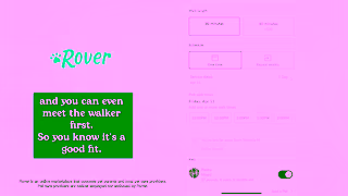 Rover.com Paid US Paid UGC Vivian Dog Walking Horizontal 30s Ad Commercial Brand Imagery Photoshoot 1
