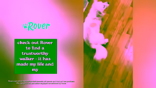 Rover.com Paid US Paid UGC Vivian Dog Walking Horizontal 30s Ad Commercial Brand Imagery Photoshoot 2