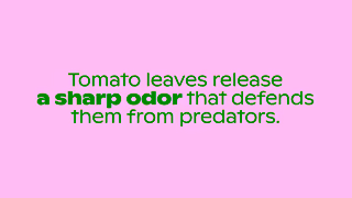 Microsoft Copilot Discover weird facts for free with Microsoft Copilot Ad Commercial Brand Imagery Photoshoot 1