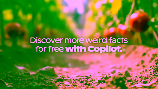 Microsoft Copilot Discover weird facts for free with Microsoft Copilot Ad Commercial Brand Imagery Photoshoot 2