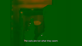 MUBI TWIN PEAKS All Episodes Now on MUBI Ad Commercial Brand Imagery Photoshoot 2
