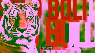 WWF Adopt An Animal With WWF Ad Commercial Brand Imagery Photoshoot 1