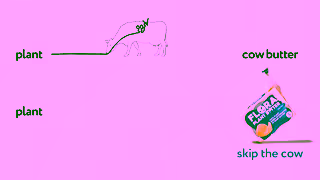 Flora Plant DIAGRAM 15sec Ad Commercial Brand Imagery Photoshoot 0