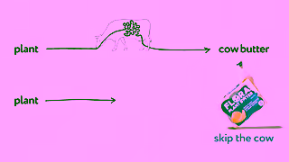 Flora Plant DIAGRAM 15sec Ad Commercial Brand Imagery Photoshoot 1