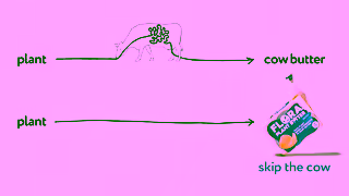 Flora Plant DIAGRAM 15sec Ad Commercial Brand Imagery Photoshoot 2
