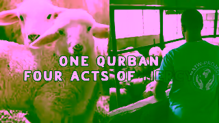 MATW Qurban That Reaches the Unseen Ad Commercial Brand Imagery Photoshoot 1