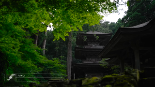 Visit Japan TOKYOHOKURIKU Authentic Japanese Tradition Market Temple and Maikosan Ad Commercial Brand Imagery Photoshoot 2