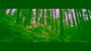 TREK Bikes Trek Fuel EXe Your best friend on the trail Ad Commercial Brand Imagery Photoshoot 1