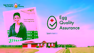 Egg Farmers of Ontario Egg Quality Assurance Ad Commercial Brand Imagery Photoshoot 2