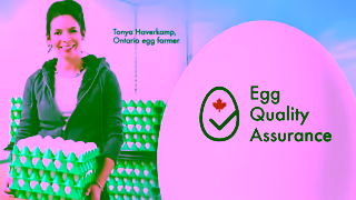 Egg Farmers of Ontario Egg Quality Assurance Ad Commercial Brand Imagery Photoshoot 2