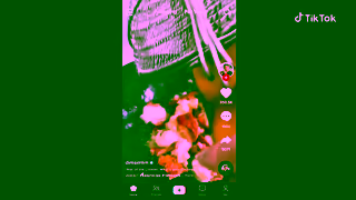 TikTok TikTok Sparks Good dimsimlim goes from Aussie kitchen hand to running 4 global food brands 15s Ad Commercial Brand Imagery Photoshoot 0