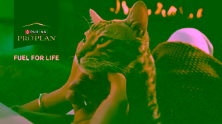 Purina Fuel for Life Ad Commercial Brand Imagery Photoshoot 2