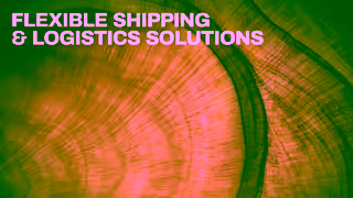 MSC Cargo MSC Flexible Shipping Logistics Solutions for Forestry Ad Commercial Brand Imagery Photoshoot 0