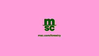 MSC Cargo MSC Flexible Shipping Logistics Solutions for Forestry Ad Commercial Brand Imagery Photoshoot 2