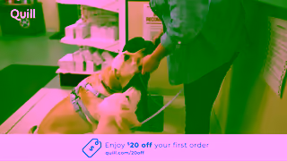Quill Quill EveryOrder EP2 30sec YOUTUBE Ad Commercial Brand Imagery Photoshoot 2