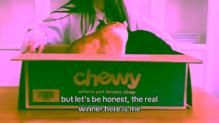 Chewy.com Chewy has you a winner Ad Commercial Brand Imagery Photoshoot 0
