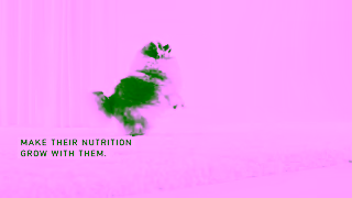 Royal Canin RC SOL 6s Puppy Transition to Adulthood A 16x9 CA EN Ad Commercial Brand Imagery Photoshoot 0