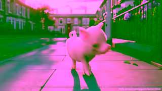 Moonpig MP FD 25 Landscape 20 sec Ad Commercial Brand Imagery Photoshoot 1