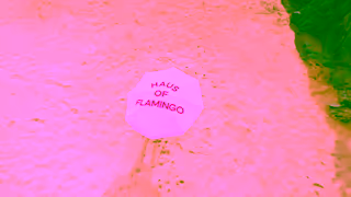 Very.co.uk Flamingo Beach Hero EDIT 20 Full FS Ad Commercial Brand Imagery Photoshoot 0