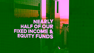 Vanguard Vanguard Our largest expense ratio cut ever Ad Commercial Brand Imagery Photoshoot 1