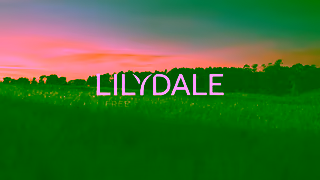 LILYDALE Chicken Dedication You Can Taste Lilydale Free Range Chicken Ad Commercial Brand Imagery Photoshoot 2