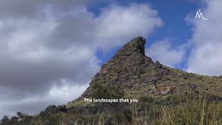 Visit Magallanes Pali Aike Reserve The Hidden Volcanic Desert of Patagonia Ad Commercial Brand Imagery Photoshoot 0