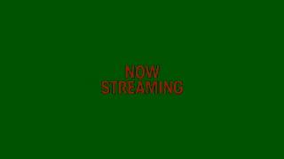 MUBI TWIN PEAKS All Episodes Now on MUBI Ad Commercial Brand Imagery Photoshoot 2