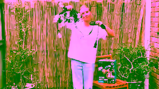 Bunnings Warehouse BUN26001 July Projects FY26 Renters Landscape AU BNATBE0521 Renters Short Ad Commercial Brand Imagery Photoshoot 0