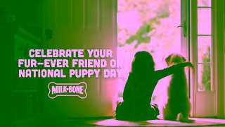 Milk-Bone MilkBone National Puppy Day 8s Ad Commercial Brand Imagery Photoshoot 0