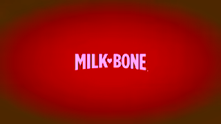 Milk-Bone MilkBone National Puppy Day 8s Ad Commercial Brand Imagery Photoshoot 2