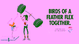 Red Bull Birds Of A Feather Flex Together Ad Commercial Brand Imagery Photoshoot 1