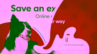 PetSmart April Sitewide Save an EXTRA 20 Canada Ad Commercial Brand Imagery Photoshoot 2