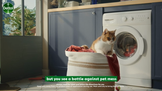 Dettol Dettol Homes with Pets Helps remove pet mess odour Ad Commercial Brand Imagery Photoshoot 0