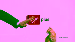 Virgin Plus With prices this affordable you dont need adorable kittens to convince you Ad Commercial Brand Imagery Photoshoot 2