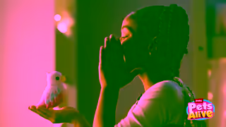 ZURU Toys PA Magic Bird Girls 5 8 169 30s Brand YOUTUBE EN Ad Commercial Brand Imagery Photoshoot 1