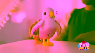 ZURU Toys PA Magic Bird Girls 5 8 169 30s Brand YOUTUBE EN Ad Commercial Brand Imagery Photoshoot 2