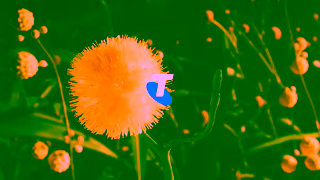 Telstra Telstra Tambo is better on a better mobile network Ad Commercial Brand Imagery Photoshoot 2