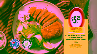Coles Coles Chicken Schnitzel NATIONAL excluding WA Ad Commercial Brand Imagery Photoshoot 1