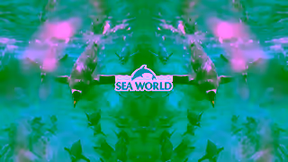 Village Roadshow Theme Parks VRTPJ25NA15 web Ad Commercial Brand Imagery Photoshoot 1