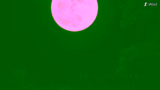 Stayz Vrbo YouTube Occasions Moons Supermoons AU EN 16x9 15s Ad Commercial Brand Imagery Photoshoot 1