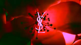 Yves Saint Laurent Video Ad Ad Commercial Brand Imagery Photoshoot 0