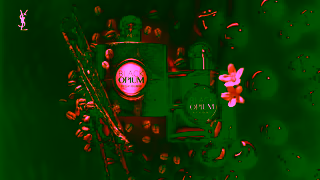 Yves Saint Laurent Video Ad Ad Commercial Brand Imagery Photoshoot 2