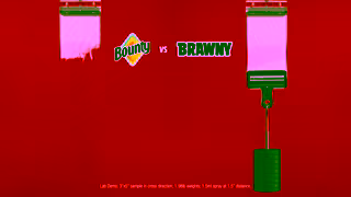Brawny Towels Birthday 15s Brawny 3Ply Paper Towels Ad Commercial Brand Imagery Photoshoot 2