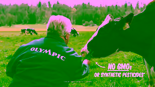 Olympic Dairy Olympic Organic yogurt is Consciously Crafted Made in Canada Ad Commercial Brand Imagery Photoshoot 1