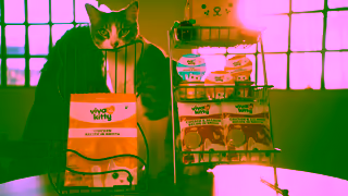 PetSmart PetSmart Kitchen Viva La Kitty Cat Caf 15 5X Points Ad Commercial Brand Imagery Photoshoot 1