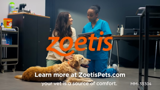 Zoetis CAEN Itchy Dog Ad Commercial Brand Imagery Photoshoot 2