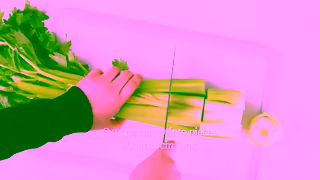 Kuvings Celery Juice AUTO10 Cold Press Juicer Ad Commercial Brand Imagery Photoshoot 0